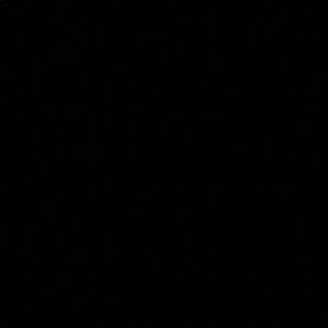 Meet your Posher, Brock